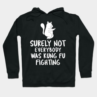 Surely Not Everybody Was Kung Fu Fighting Hoodie